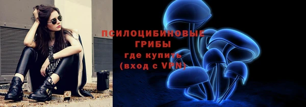Альфа ПВП Лагань