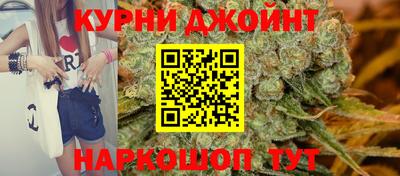 гашик Кудрово