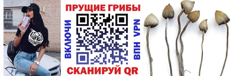 где найти   Лангепас  Псилоцибиновые грибы MAGIC MUSHROOMS 